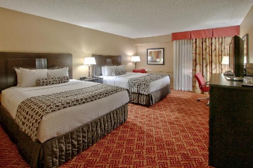 Alta Hotel image 32